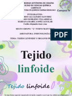 Tejido Linfoide - Equipo #2