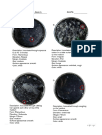 Almorado Lab-Act4 Bio030.1