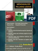 Analisis Peluang Usaha