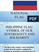 Philippine National Flag 1