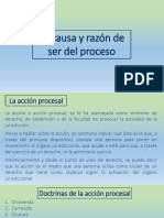 La causa y razón de ser del proceso