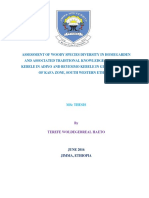 Terefe Final Thesis