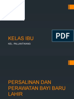 KELAS IBU II Pall