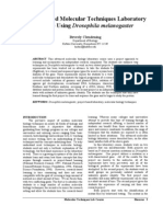 An Advanced Molecular Techniques Laboratory Course Using Drosophila Melanogaster