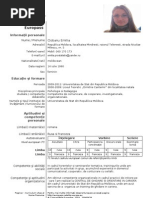 Curriculum Vitae Model European Necompletat