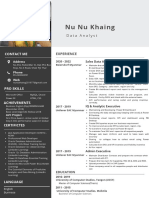 Nu Nu Khaing: Data Analyst