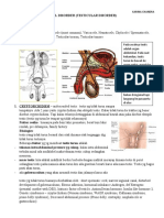 Testicular Disorder