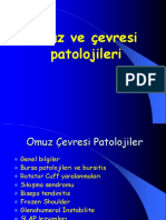 Omuz Ve Çevresi Patolojileri