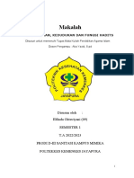 Makalah Elfinda