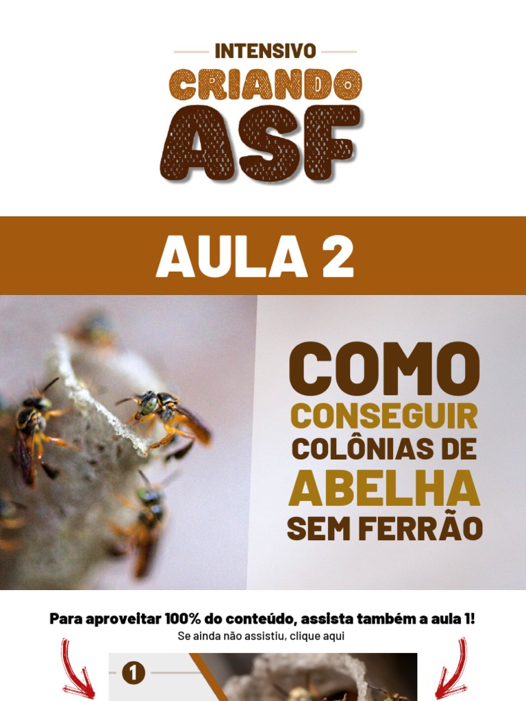 Como Conseguir Colônias de ASF | PDF | Abelhas