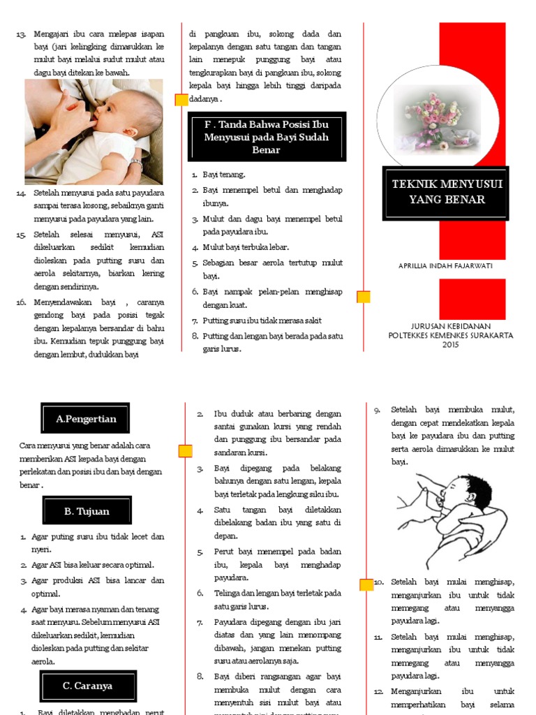 Tehnik Menyusui Yang Benar | PDF