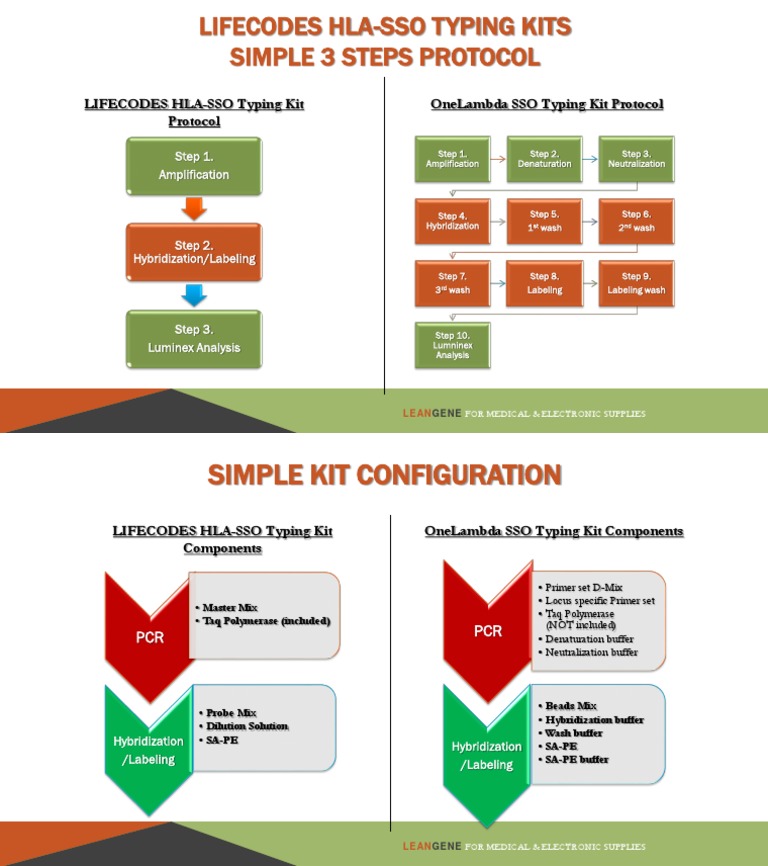LIFECODES HLASSO Typing Kits PDF