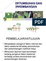 Pertumbuhan Dan Perkembangan