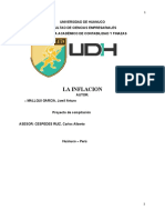 La Inflacion Proyecto de Investigacion