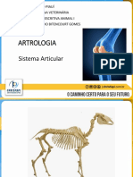 ANATOMIA ARTICULAÇÕES