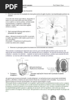 Desenvolvimento da semente - questões