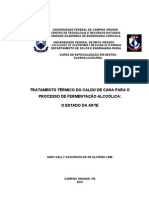 Tratamento Térmico Do Caldo de Cana para o Processo de Fermentação Alcoólica PDF