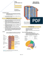 Module 3.2 The Cerebral Cortex