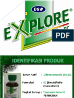 Explore - Padi Oke