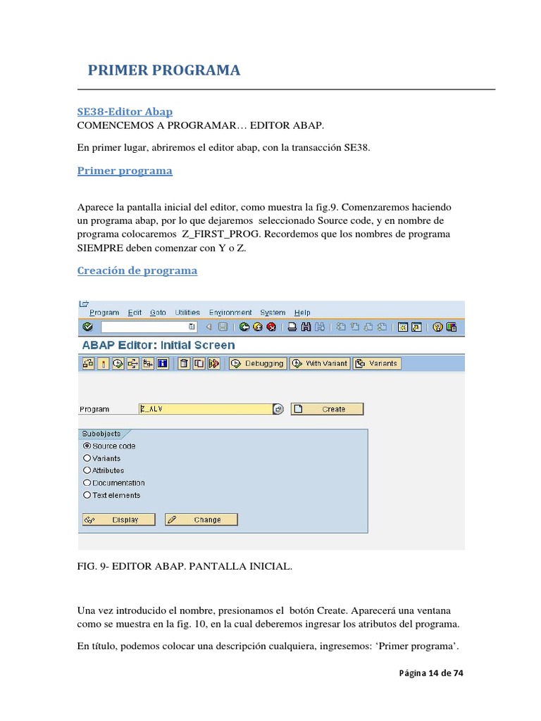 Crear y Ejecutar un Programa ABAP | PDF | Lenguaje de programación ...