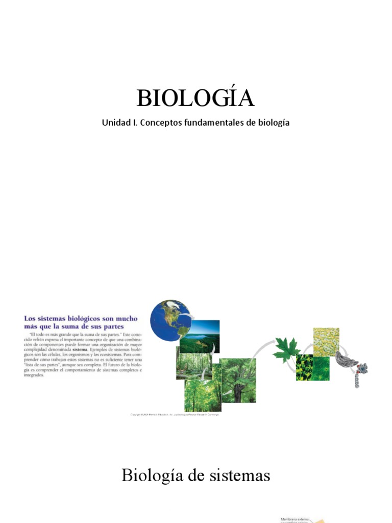 Unidad 1 Presentación 1 | PDF | Ciencia y matemáticas | Tecnología