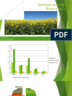 Rapeseed and Mustard