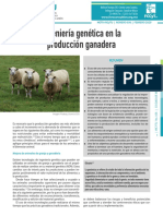 Ingeniería Genética en La Producción Ganadera 2020