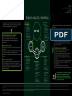 8 - Implementacion SAP GRC v2