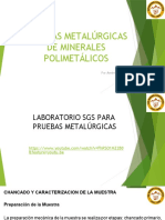 Procedimiento Prueba Metalurgico Polimetalico