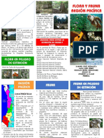 Folleto Informativo Region P para La Salle