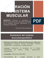 Sistema Musculoesquelético 2017