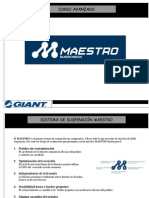 Sistema Giant MAESTRO