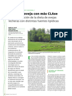 Leche de Oveja Con Más Clase: Suplementación de La Dieta de Ovejas Lecheras Con Distintas Fuentes Lipídicas