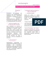 TECNOLOGIA SOCIEDADE DE CONSUMO - Resumo de Aula