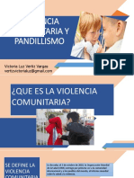 Violencia Comunitaria y Pandillismo