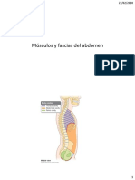 Músculos y Fascias Del Abdomen 2020