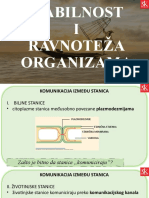 Stabilnost I Ravnoteža Organizama