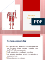 5- Sistema Muscular atualizado