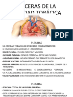 Visceras de La Cavidad Torácica MJ