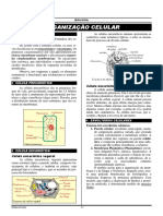 02 - Citologia e Organização Celular