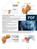 Fracturas de cadera: clasificación y tratamiento