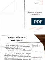 estágio, diferentes concepções