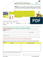 Adecuación - Guia Diseña Alternativa de Solucion - Laura 3ro