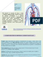 Sistema circulatório e suas funções