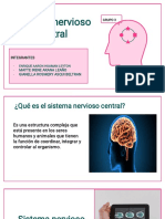 Sistema Nervioso Central