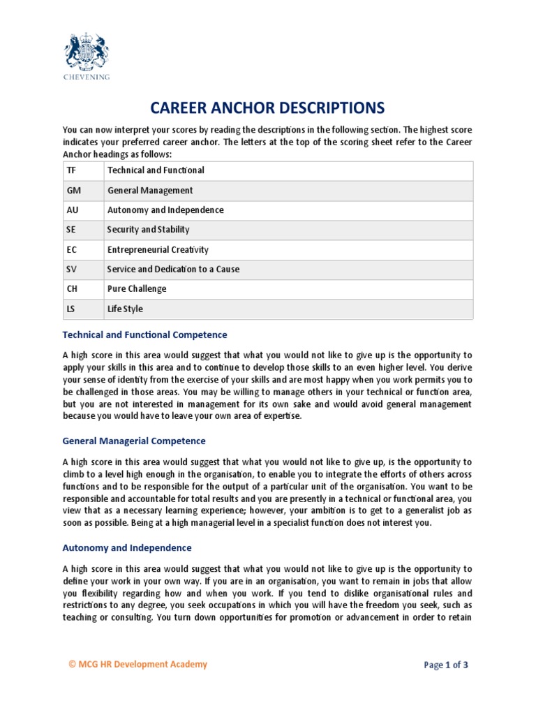 Career Anchors Description PDF Creativity Employment