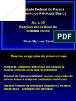 Aula 09 Reações Excessivas Do Sistema Imune 290422