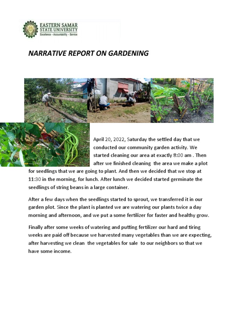 Narrative Report On Gardening PDF
