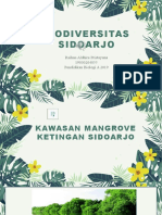 Raihan Aldhira P - PBU 2019 - Biodiversitas Mangrove