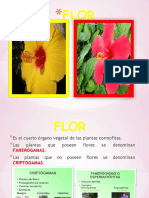 3.3 La Flor